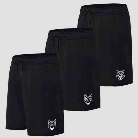 Kit 3 Shorts Pretos Dry Fit Lobo